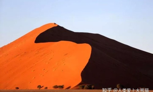 脸上痘痘痒-脸上痘痘又红又痒用什么药、脸上痘痘吃什么药效果好 -脸上痘痘很痒吃什么药网